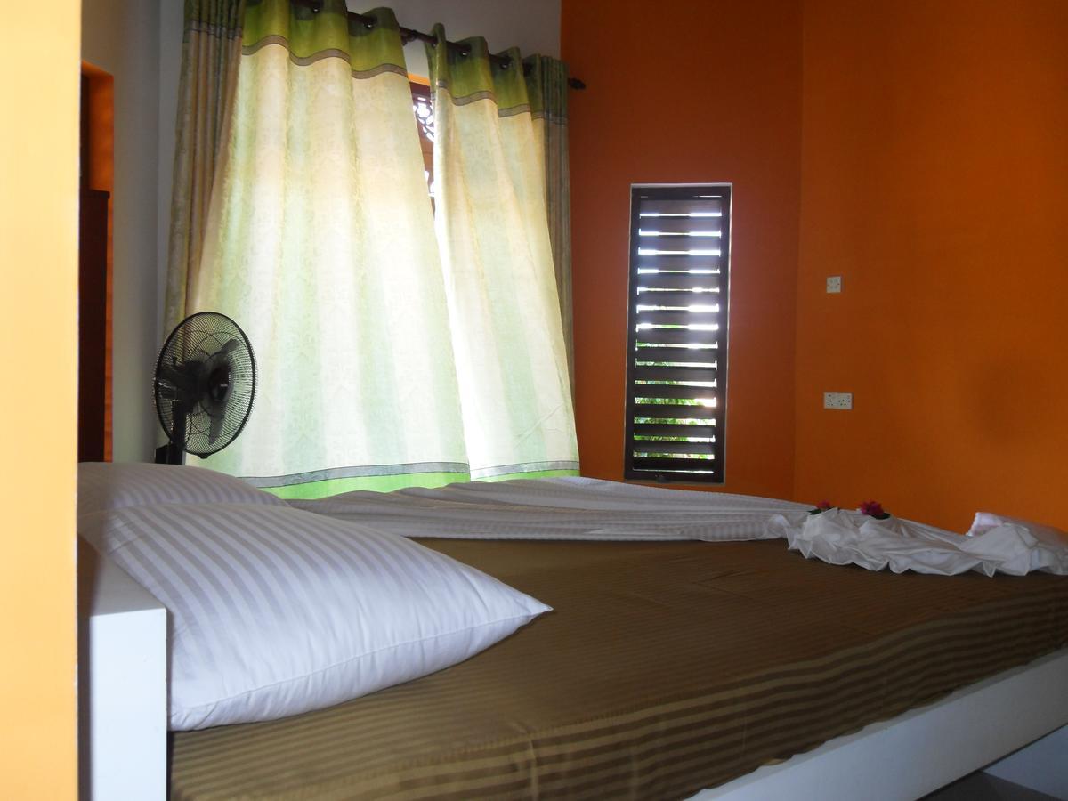 Bee Nest Bed & Breakfast Negombo Exterior photo