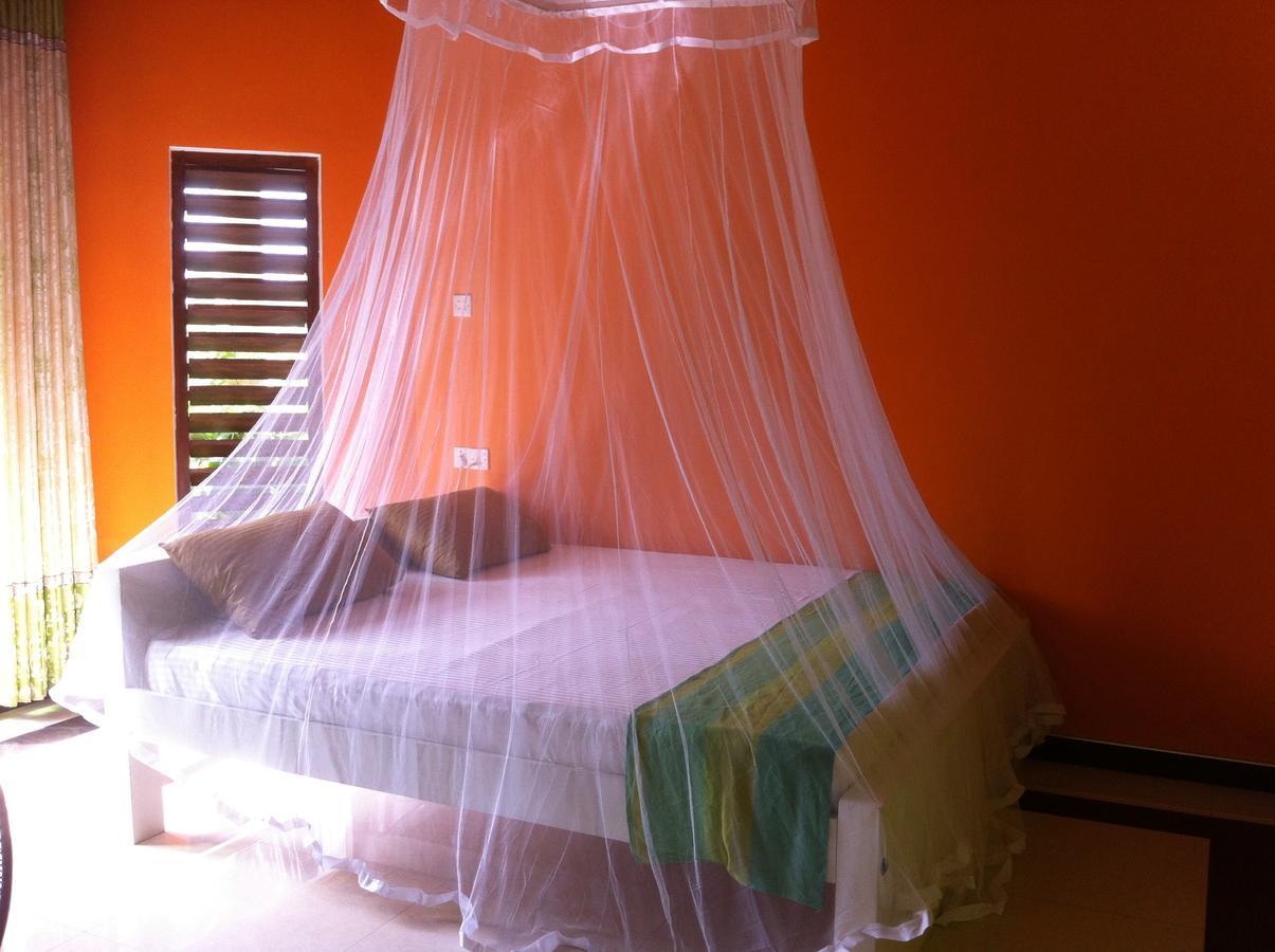 Bee Nest Bed & Breakfast Negombo Exterior photo
