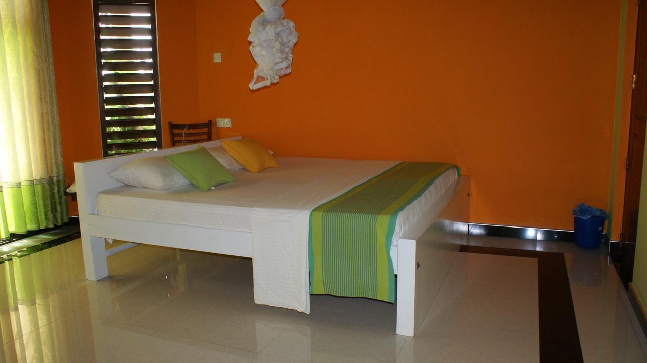 Bee Nest Bed & Breakfast Negombo Exterior photo