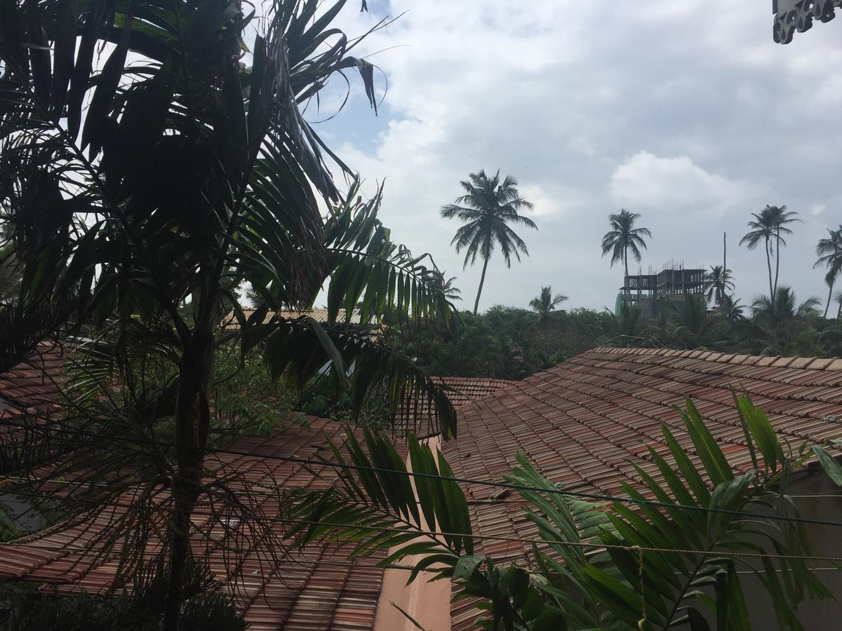 Bee Nest Bed & Breakfast Negombo Exterior photo