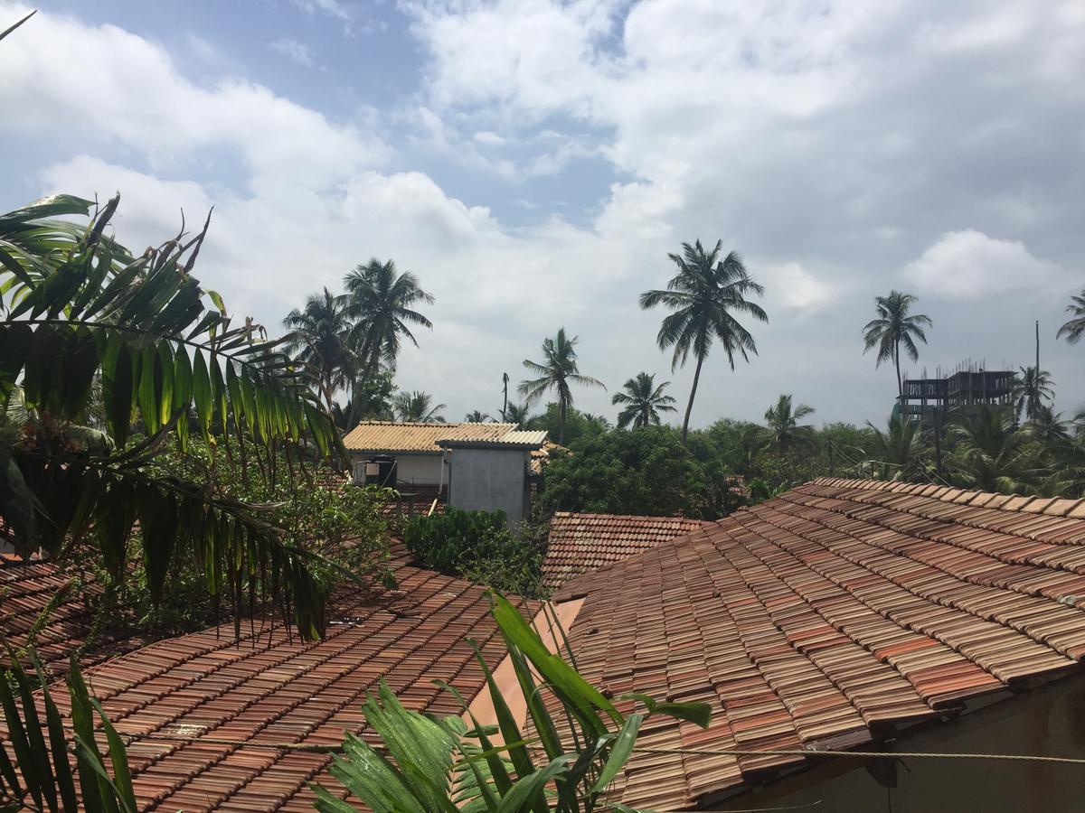 Bee Nest Bed & Breakfast Negombo Exterior photo